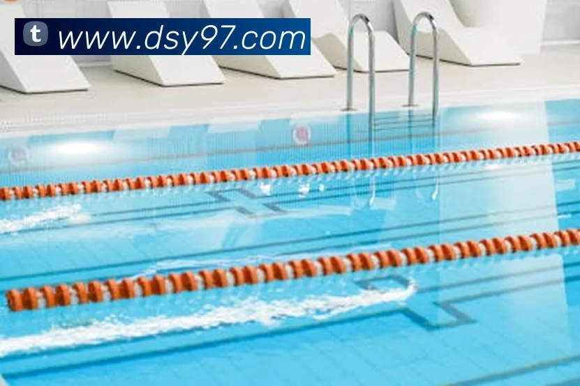 大三元官网平台登录平台生态图